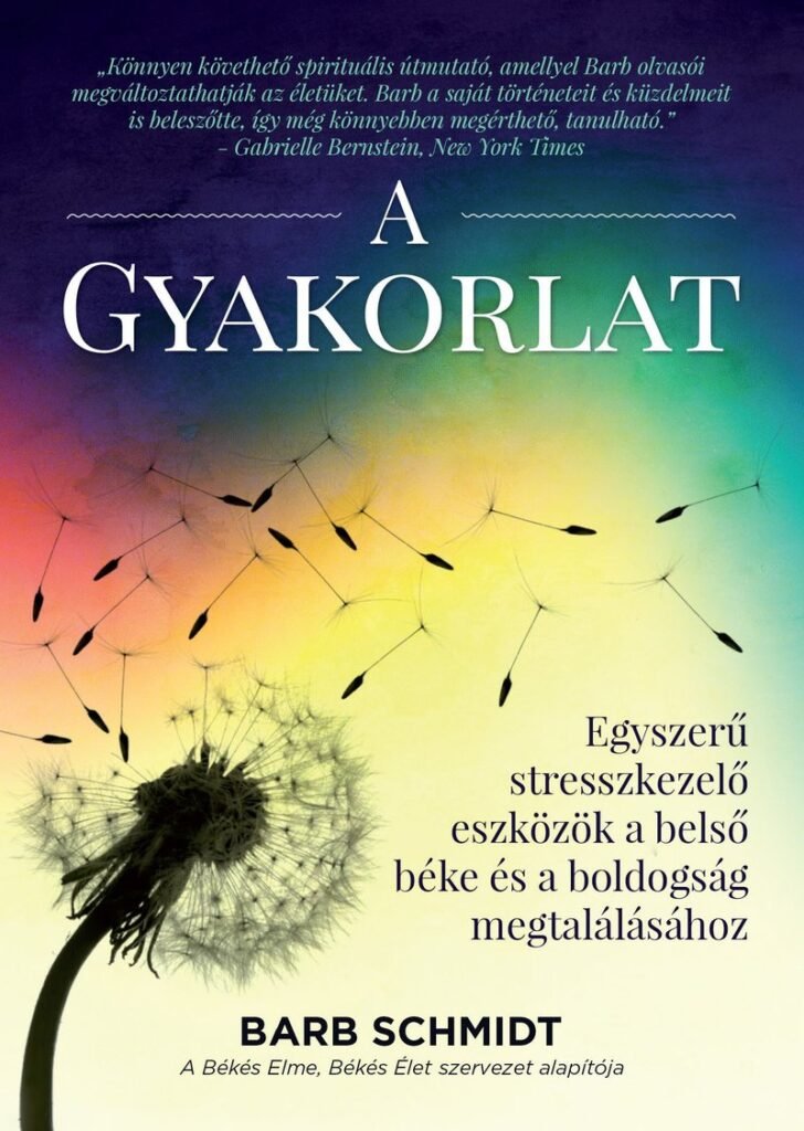 A Gyakorlat – Barb Schmidt könyvének borítója