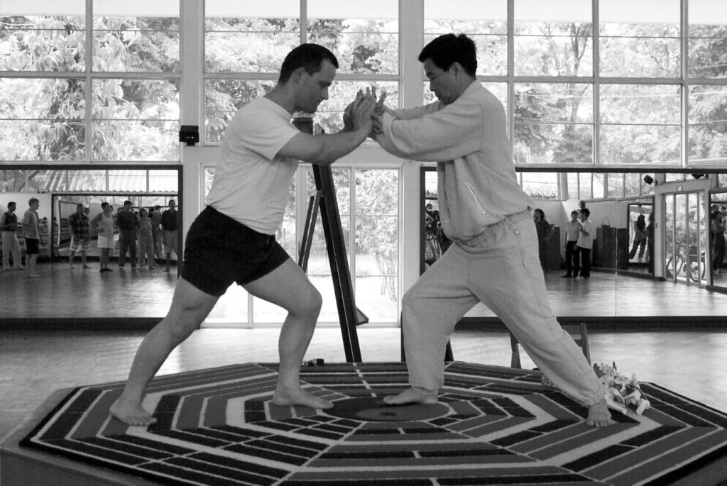 Tai chi peng elhárítás bemutatása